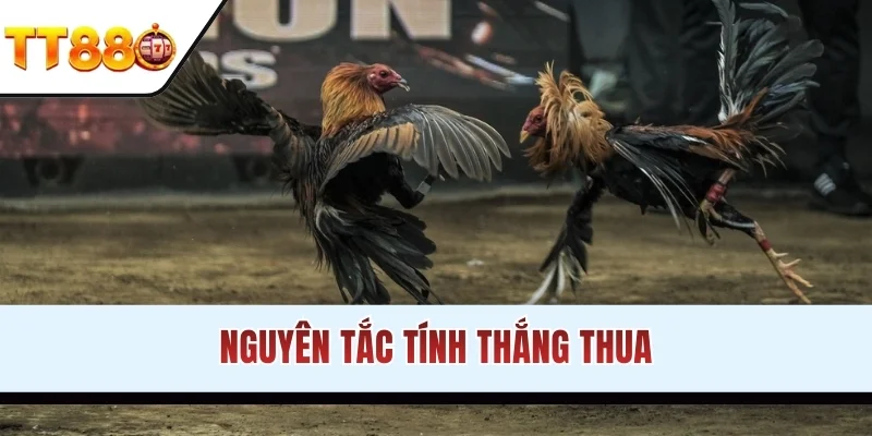 Nguyên tắc tính thắng thua